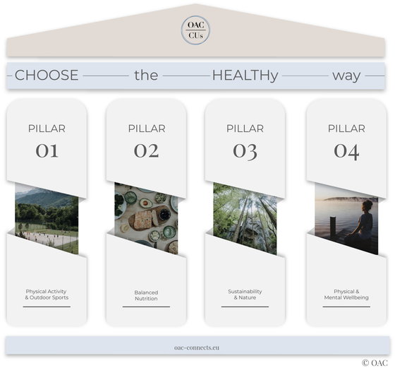 The Four Key Pillars of a Healthy Lifestyle